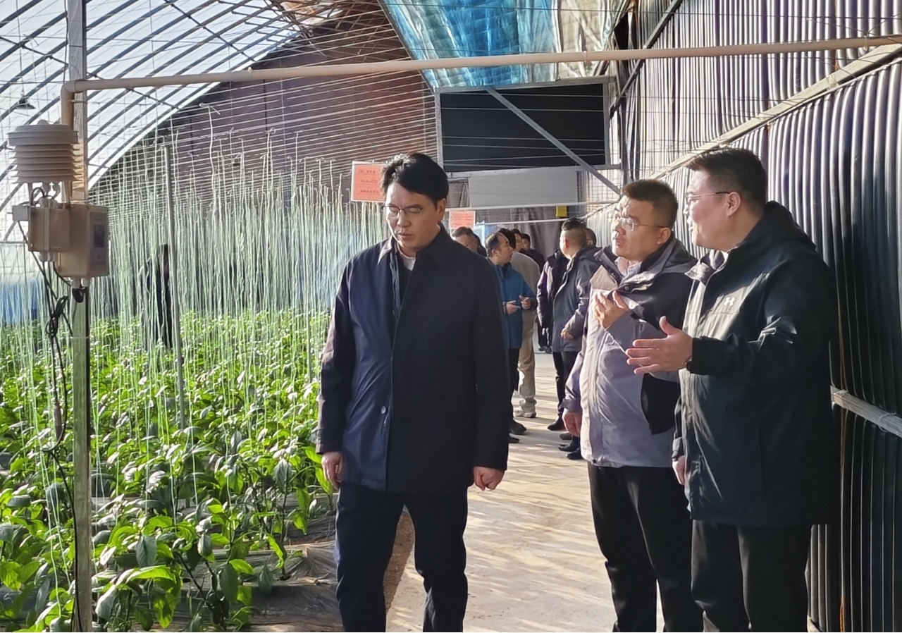 湖北嘉鱼考察组莅临环球软件 共探蔬菜产业数智化发展新路径