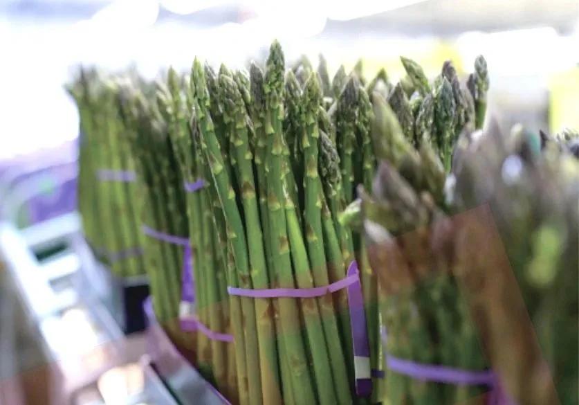 数智赋能 环球软件助天府芦笋“鲜”出圈