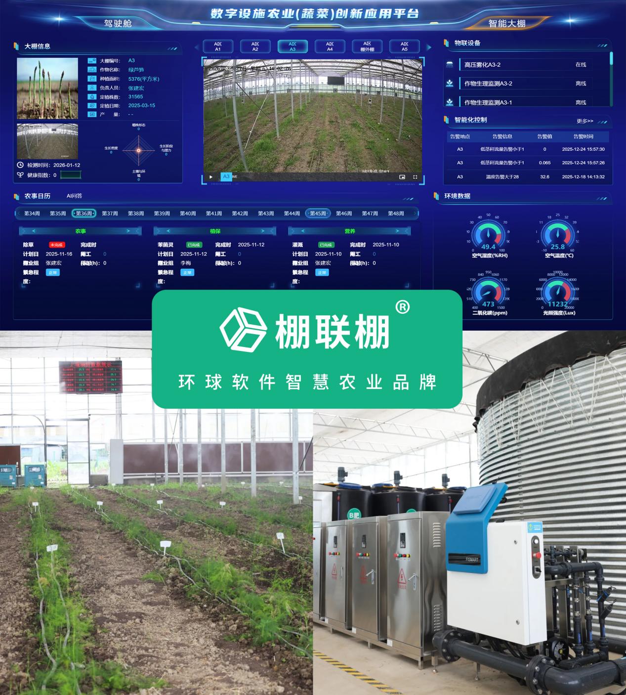 数智赋能 环球软件助天府芦笋“鲜”出圈