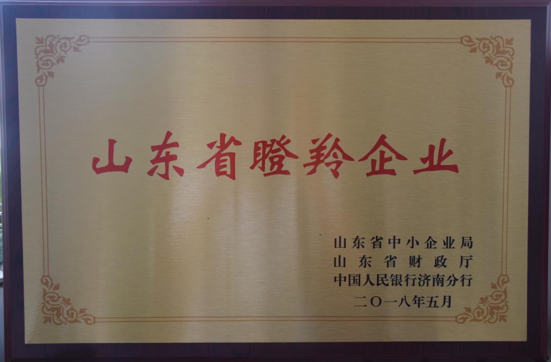 环球软件成功入选山东省首批瞪羚示范企业